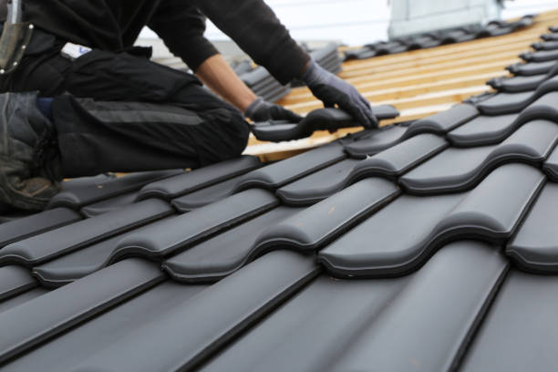 Best Solar Panel Roofing Installation  in USA